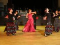 /album/flamenco-9-2-2013/ples3-jpg/